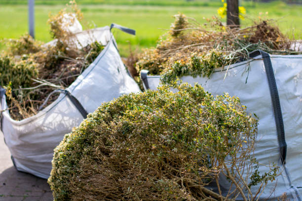 Best Junk Removal for Businesses  in Brown City, MI