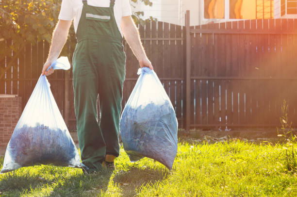 Best Residential Junk Removal  in Brown City, MI
