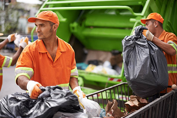 Best Junk Hauling Services  in Brown City, MI